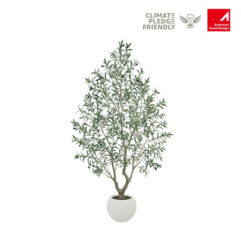 Vitalismo Artificial Plants Compared: Lucky Bamboo Bonsai, Weeping Cedar Tree, or Artistic Olive Tree?