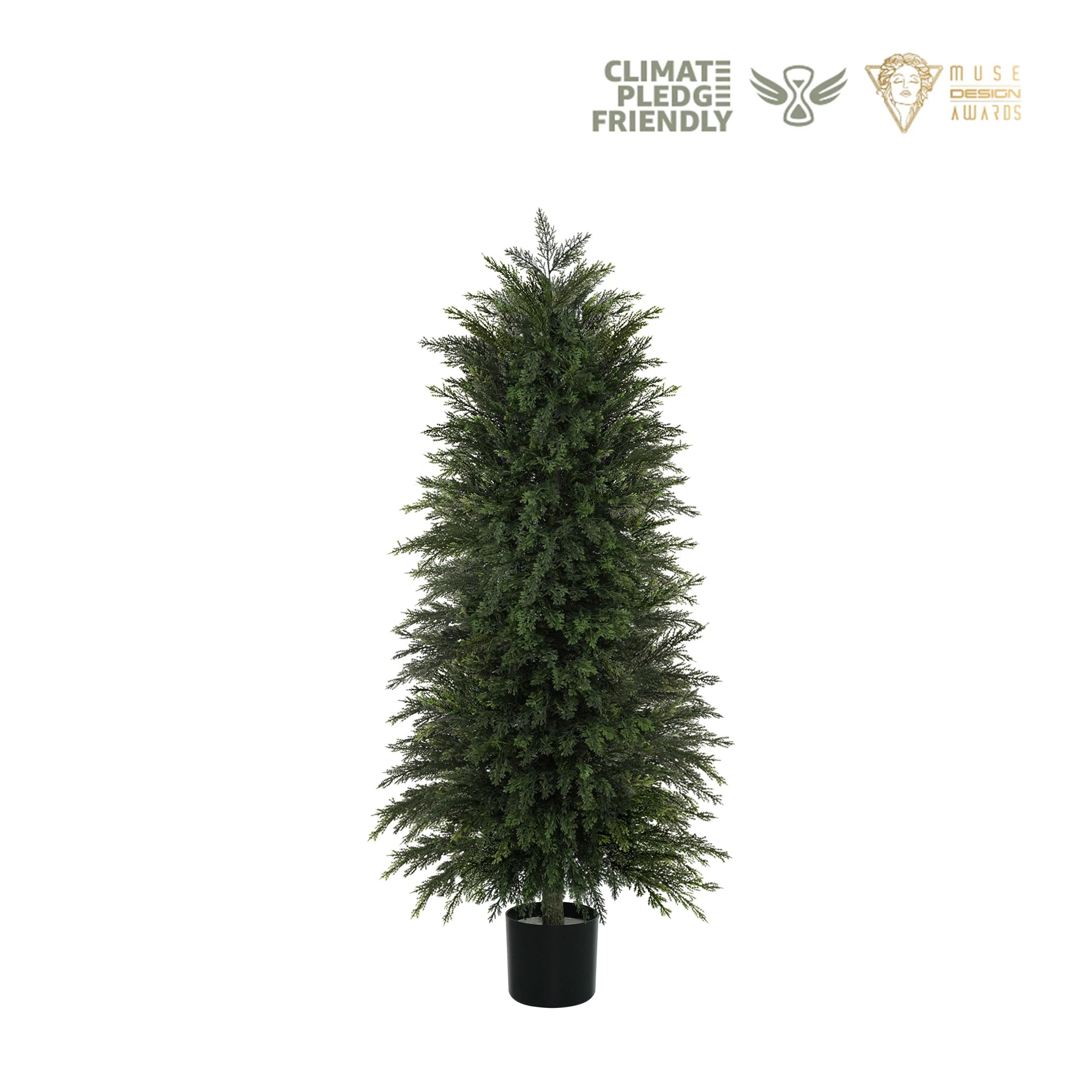 click2future-vitalismo-plants-compared-2026 product 2 image